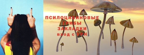 МДПВ Гусиноозёрск